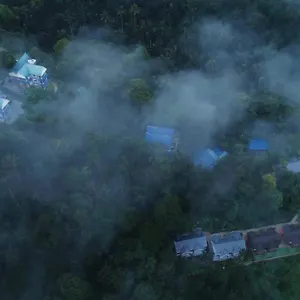 https://camellia-elettaria.kerala-hotels.net